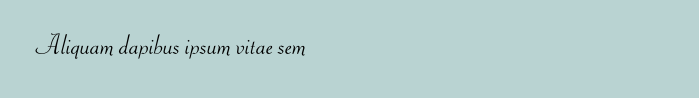 Aliquam dapibus ipsum vitae sem
