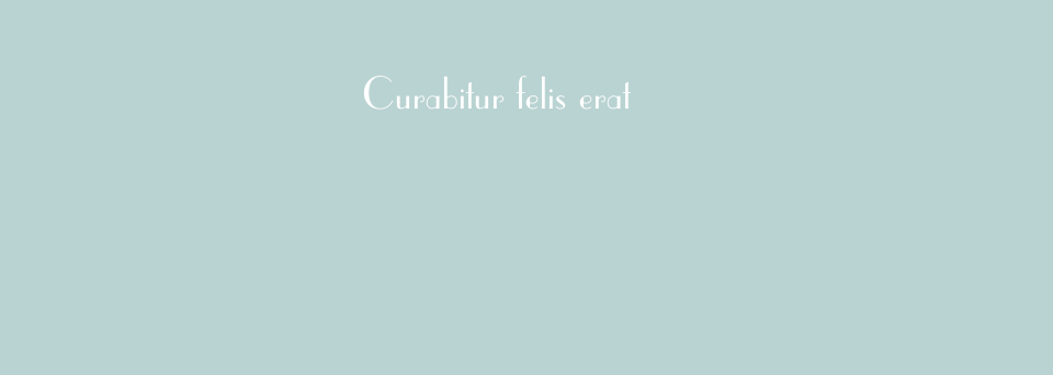 Curabitur felis erat
